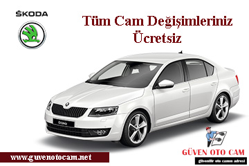 Skoda Oto Cam Değişimi